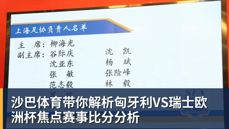沙巴体育带你解析匈牙利VS瑞士欧洲杯焦点赛事比分分析